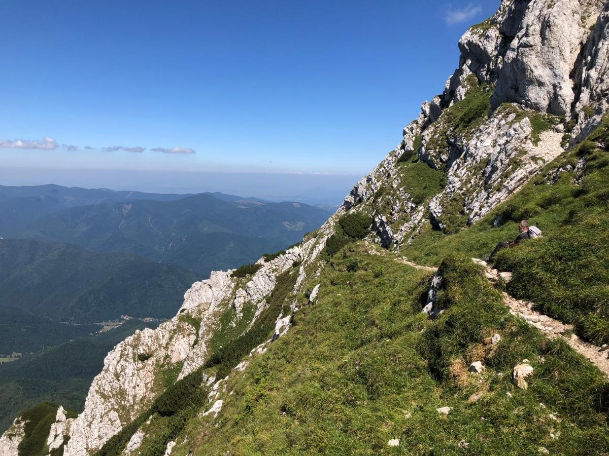Zărneşti 阿利亚旅馆酒店 外观 照片