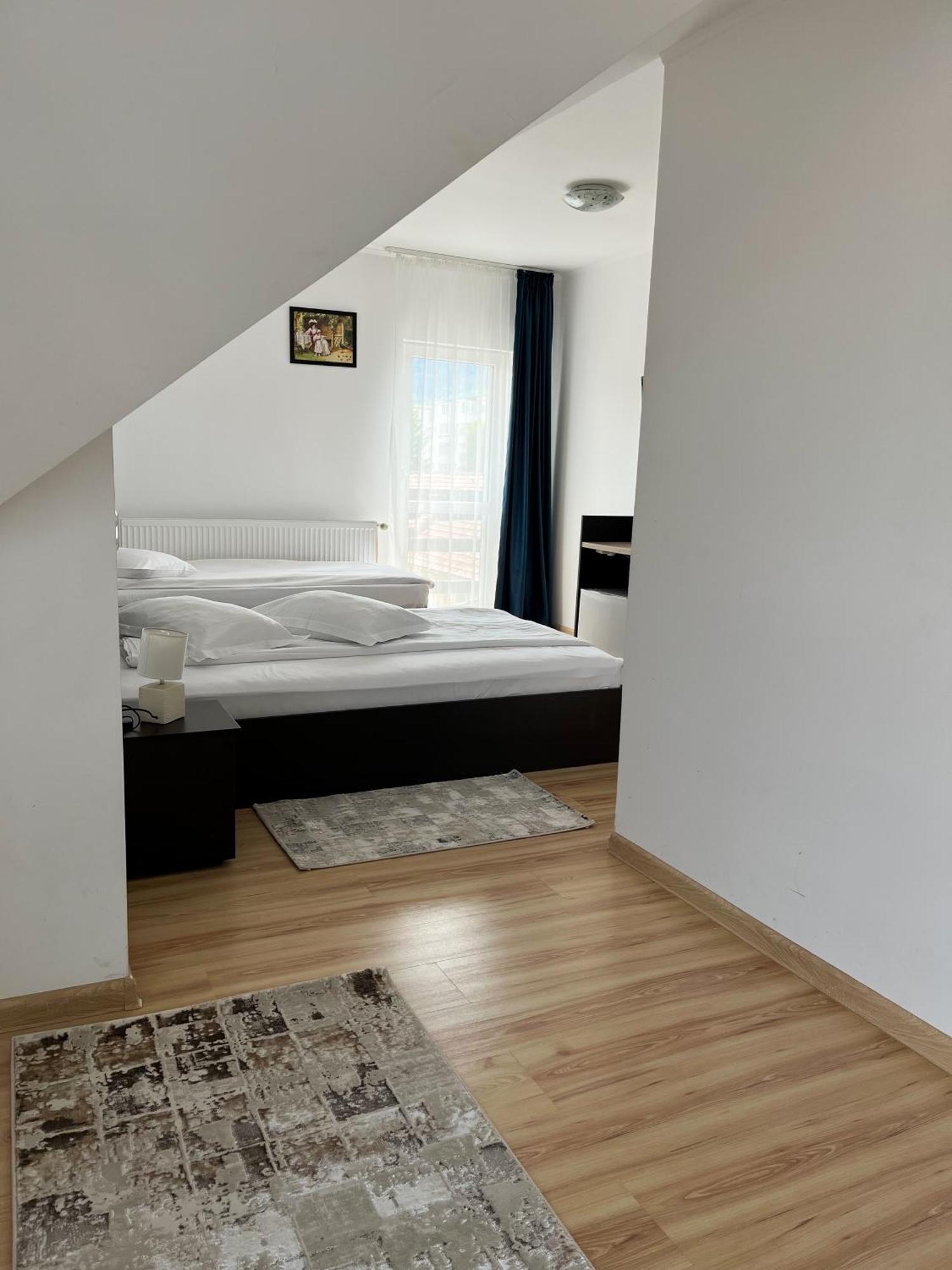 Zărneşti 阿利亚旅馆酒店 外观 照片